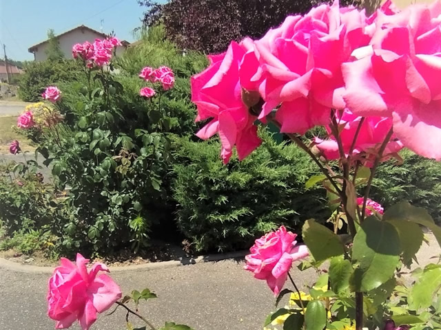 Generic placeholder image